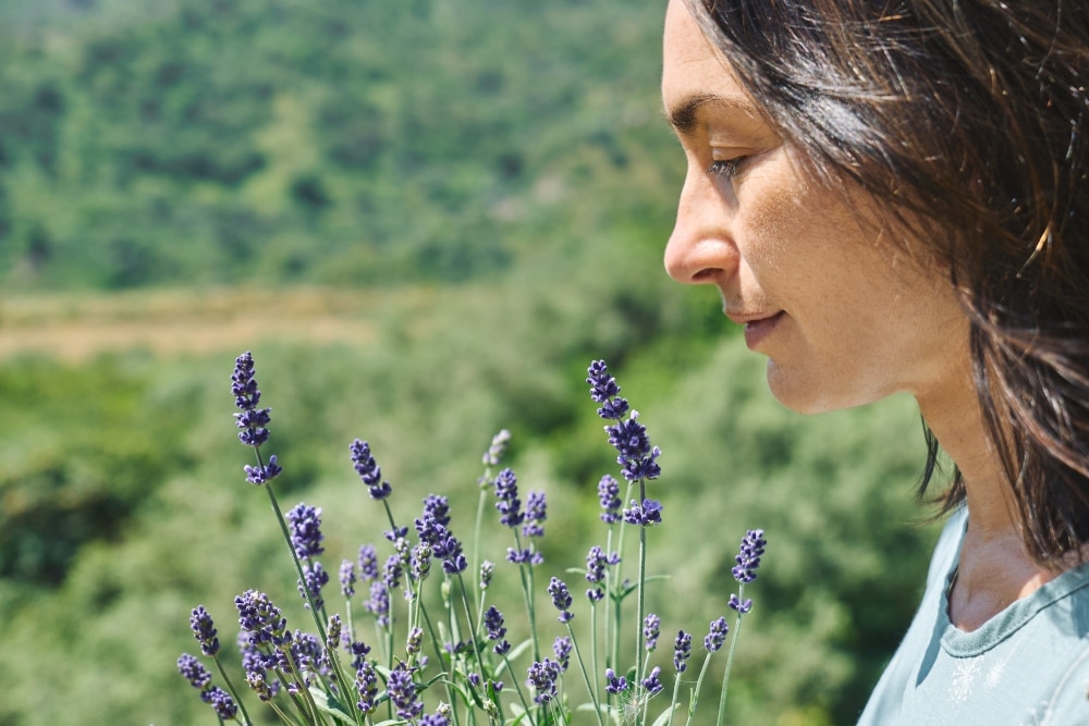 Levandula stres